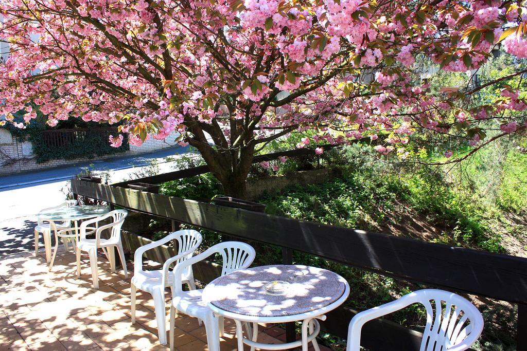 Discounts Prague Hotel Екстер'єр фото